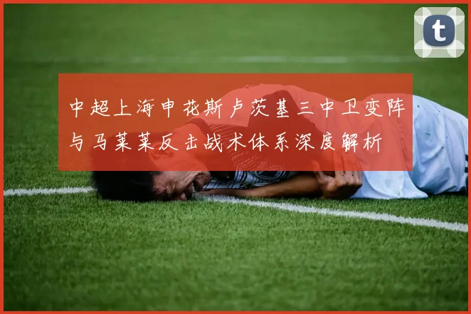 中超上海申花斯卢茨基三中卫变阵与马莱莱反击战术体系深度解析