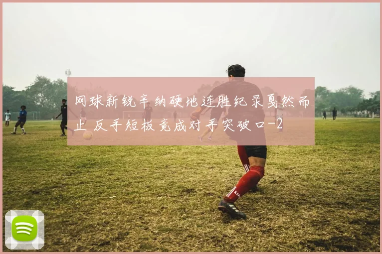 网球新锐辛纳硬地连胜纪录戛然而止 反手短板竟成对手突破口