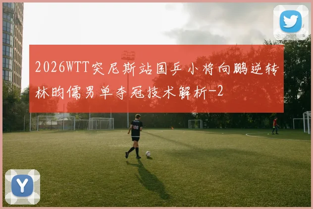 2026WTT突尼斯站国乒小将向鹏逆转林昀儒男单夺冠技术解析