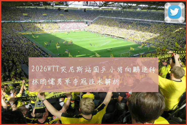 2026WTT突尼斯站国乒小将向鹏逆转林昀儒男单夺冠技术解析